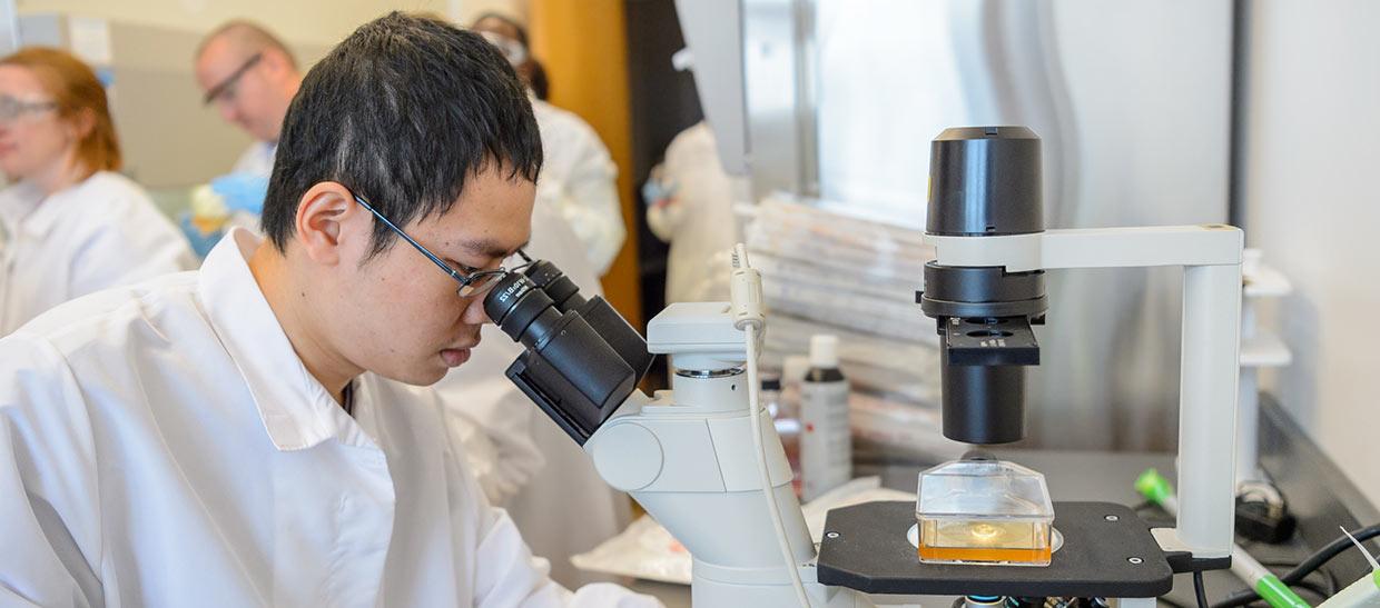 Student working at a microscope